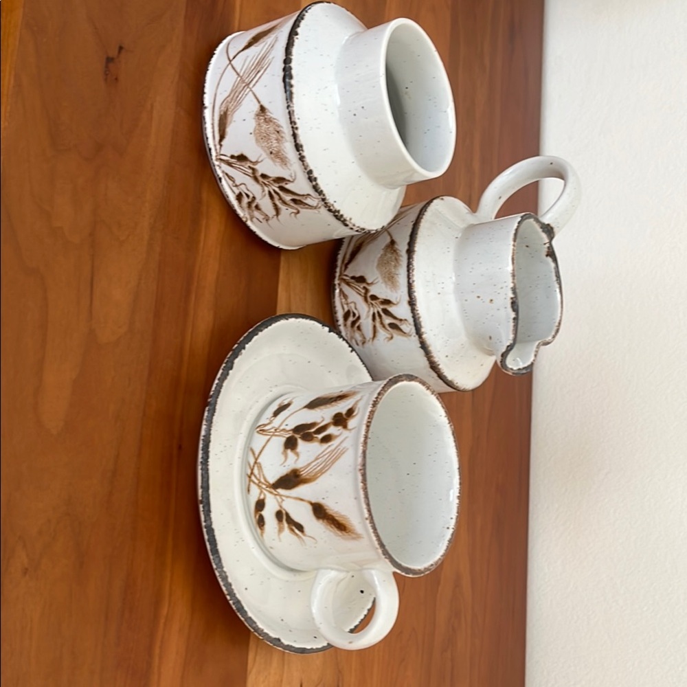 Tea Set for 10 Wild Oats Stonehenge